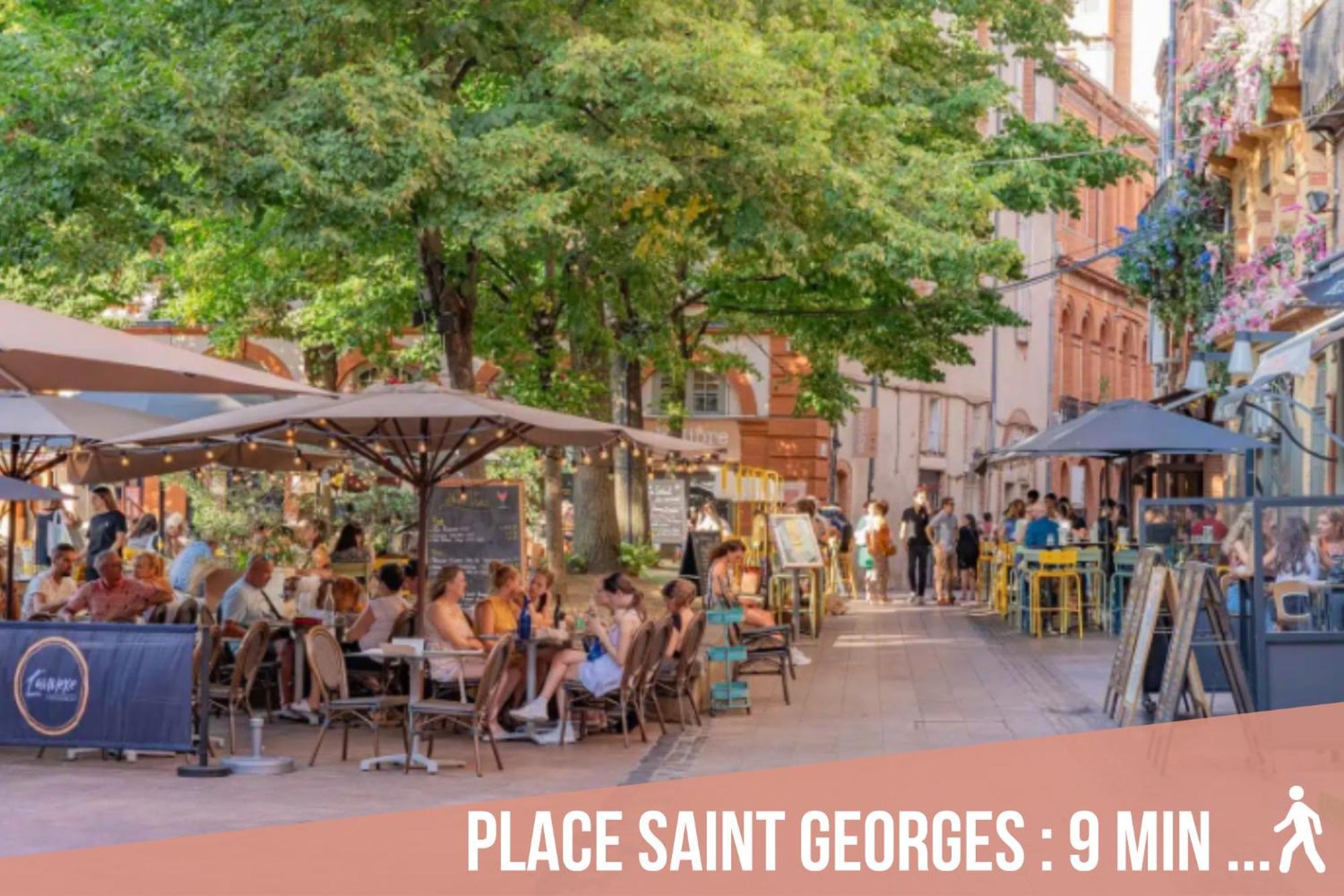 Chartreuse, Clim, Parking, Terrasse Au Calme Apartment Toulouse Luaran gambar